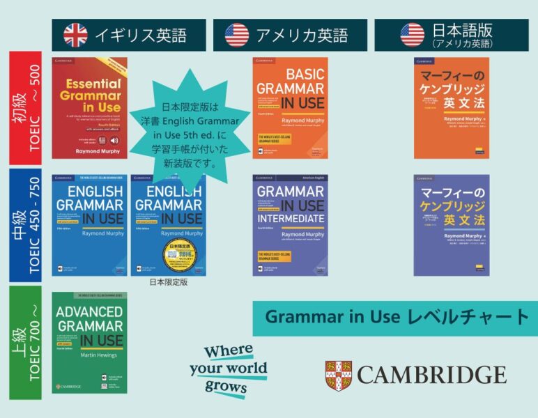 english grammar in use